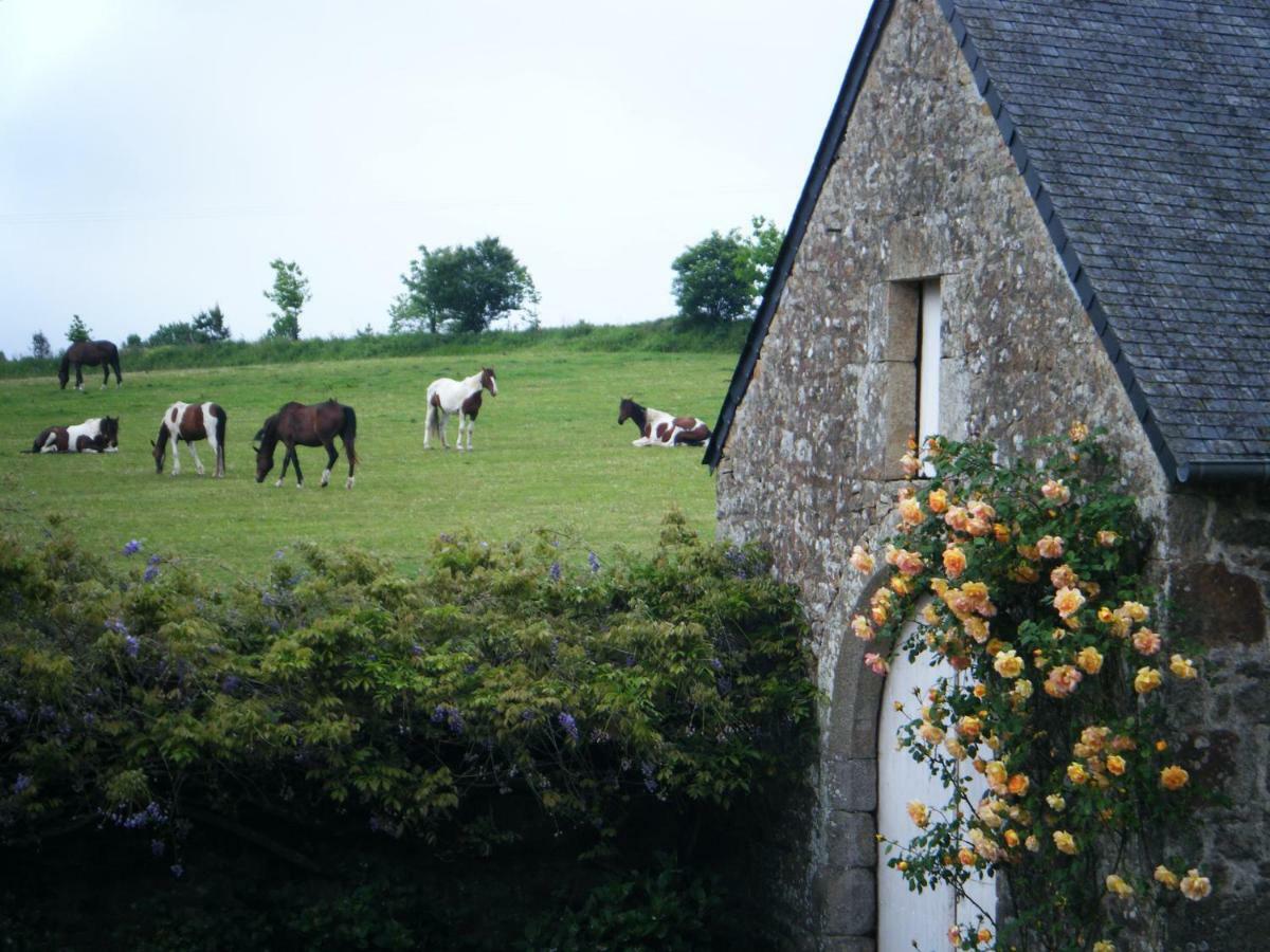 Les Chambres Du Manoir De Kerhel Locoal-Mendon Luaran gambar